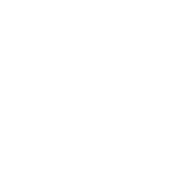 Australian Institute of Business Logo