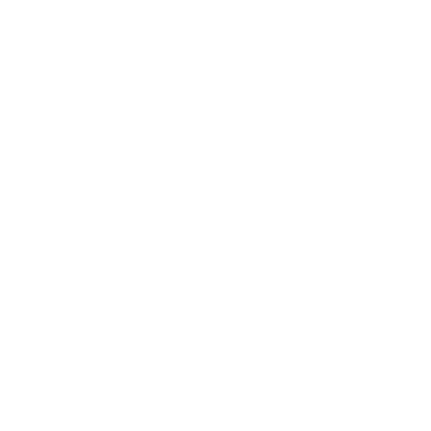 ACH Group Logo
