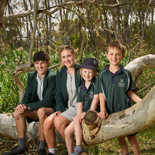 Four Faith Lutheran College students pose for the camera whilst sitting on a tree branch