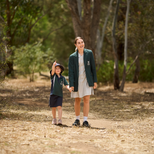 Two Faith Lutheran College students admiring the forest that they are walking in .